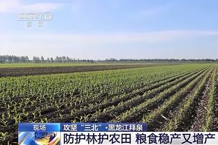 约基奇谈361°：戈登说他们不错 训练和比赛后他们会问我穿鞋感受